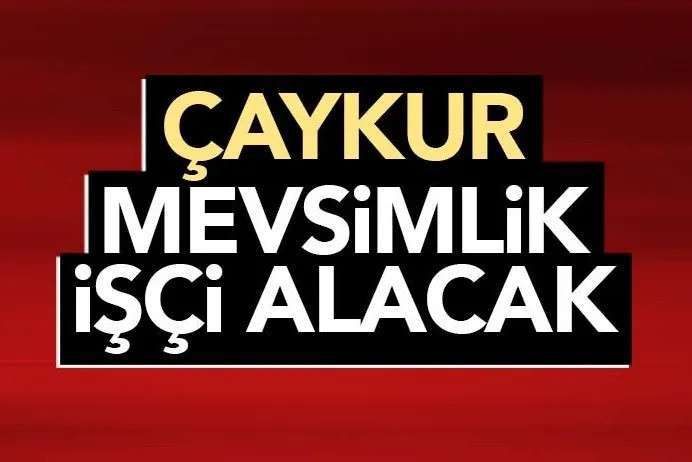 ÇAYKUR 2024'te 1000'in Üzerinde Mevsimlik İşçi Alacak