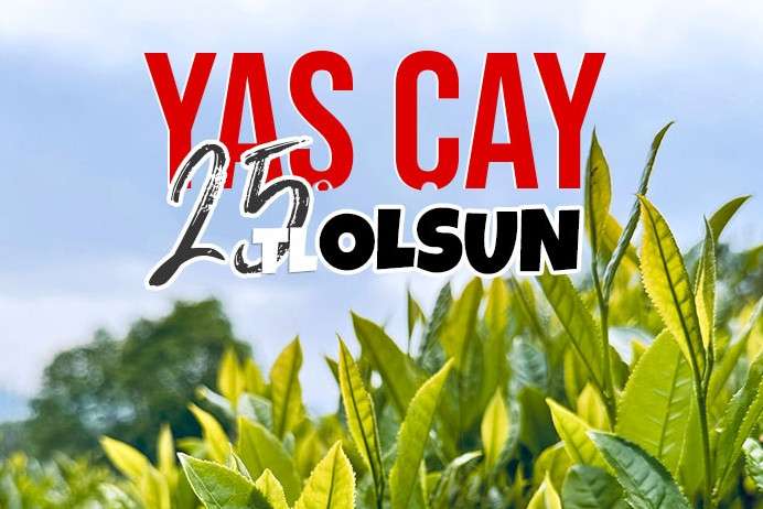 Yaş çay fiyatı 25 TL olsun